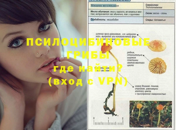 кристаллы Белокуриха