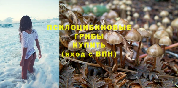 спиды Белоозёрский