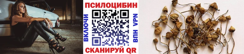 Галлюциногенные грибы мухоморы  Купить  Фёдоровский 